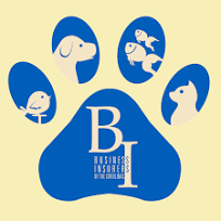 Business Insurers of the Carolinas insurance affiliation