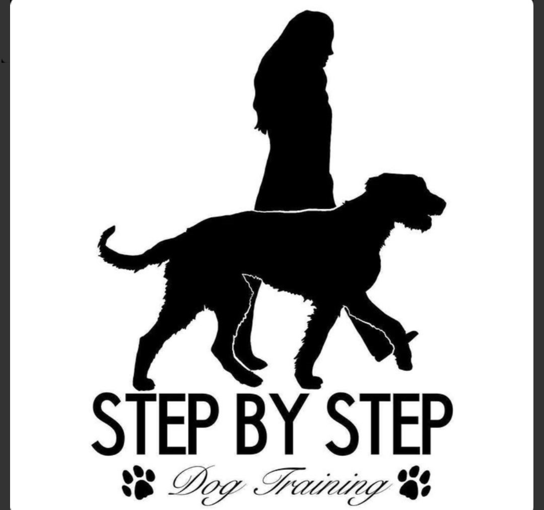 Step by Step Dog Training — silhouette of a person walking with their dog